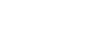 Grupo Flex